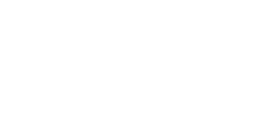 Action Electronics